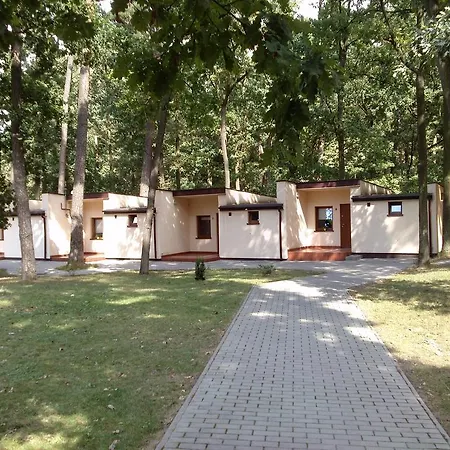 Osrodek Wypoczynkowy Forest אתר נופש