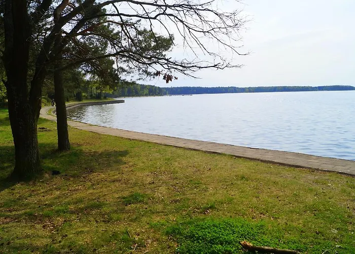Osrodek Wypoczynkowy Forest