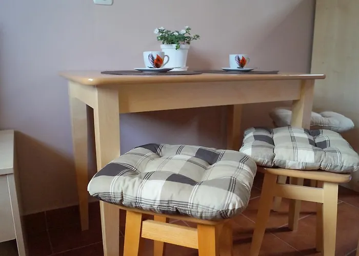 Ośrodek wypoczynkowy Osrodek Wypoczynkowy Forest