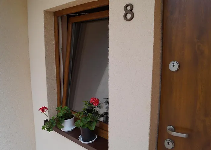 리조트 Osrodek Wypoczynkowy Forest 루블린