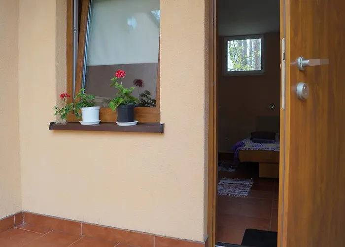 Ośrodek wypoczynkowy Osrodek Wypoczynkowy Forest