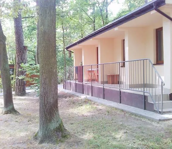 리조트 Osrodek Wypoczynkowy Forest