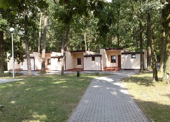 Osrodek Wypoczynkowy Forest Ośrodek wypoczynkowy