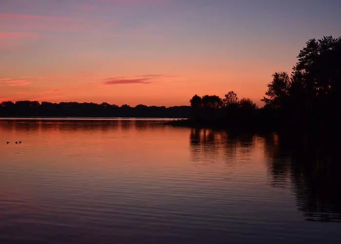 리조트 Osrodek Wypoczynkowy Forest 2*
